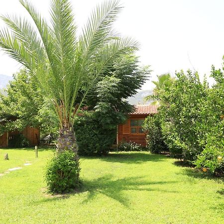 Tunays Pansiyon Bed & Breakfast Cirali Exterior photo
