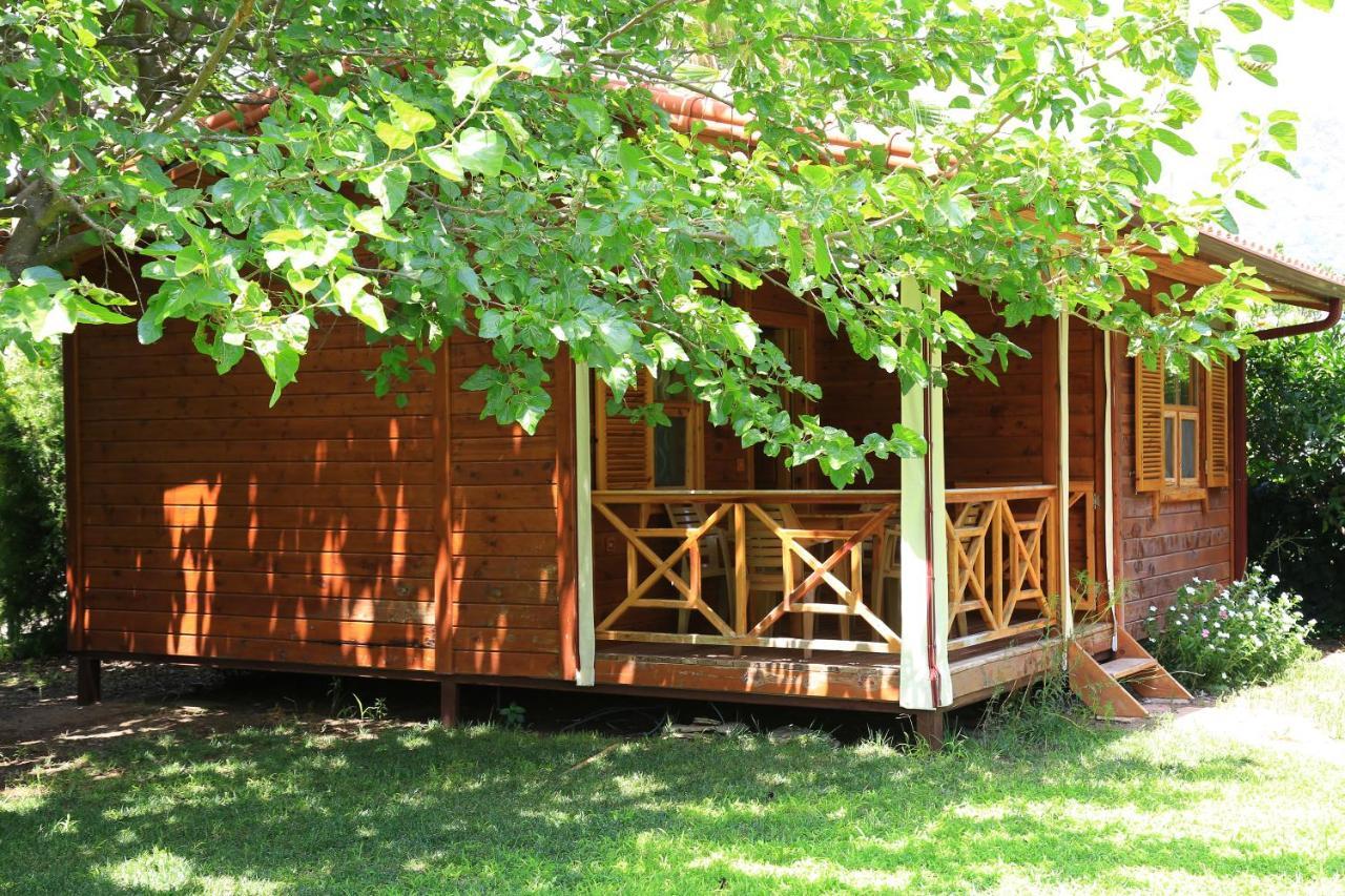 Tunays Pansiyon Bed & Breakfast Cirali Room photo