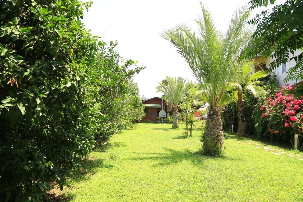 Tunays Pansiyon Bed & Breakfast Cirali Room photo