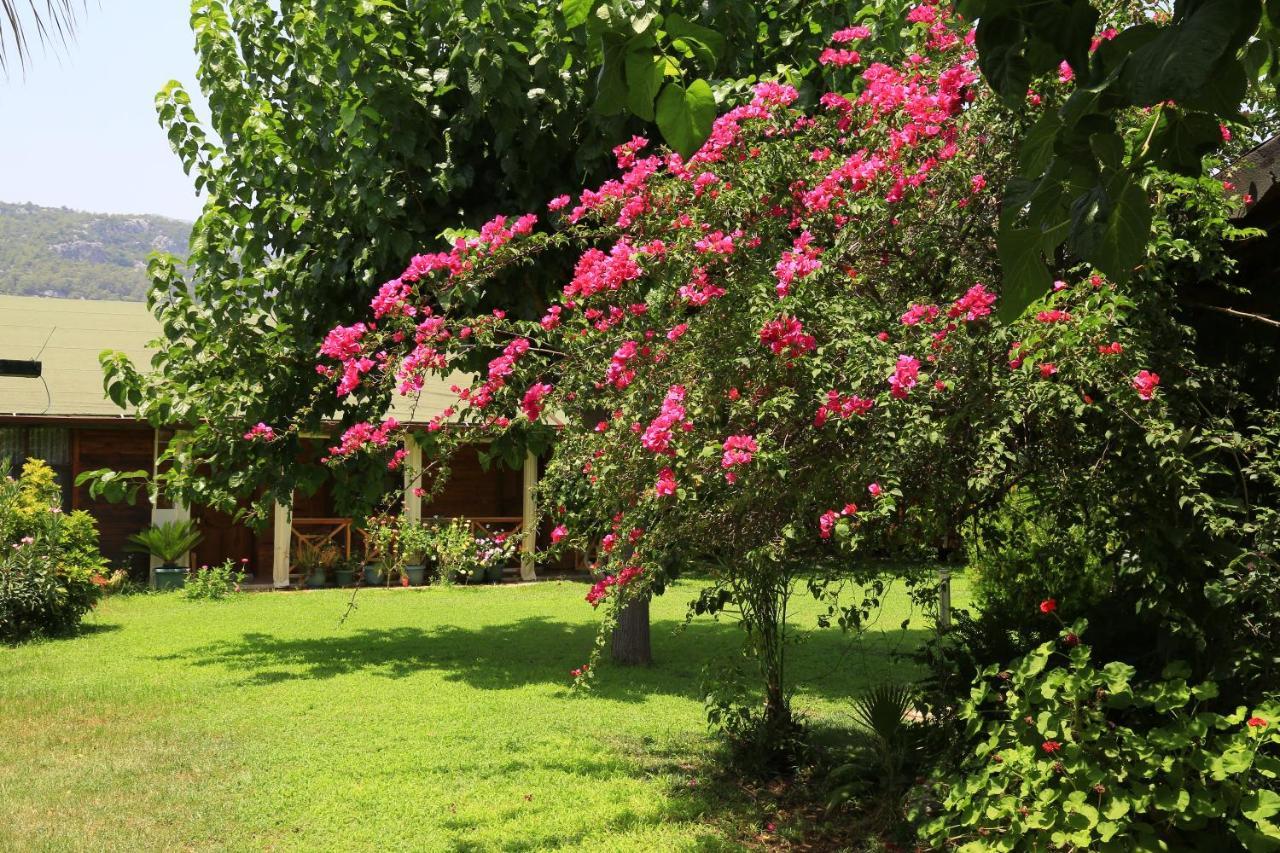 Tunays Pansiyon Bed & Breakfast Cirali Exterior photo