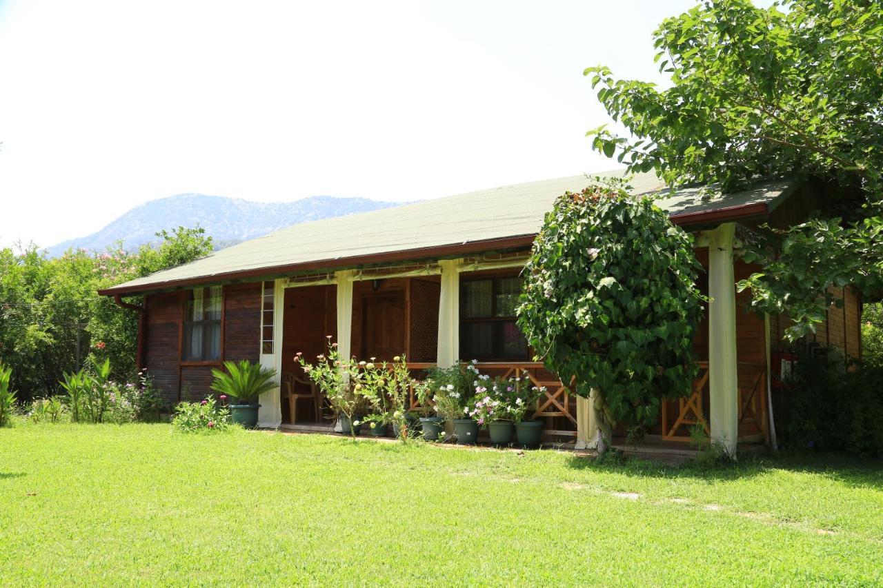 Tunays Pansiyon Bed & Breakfast Cirali Room photo